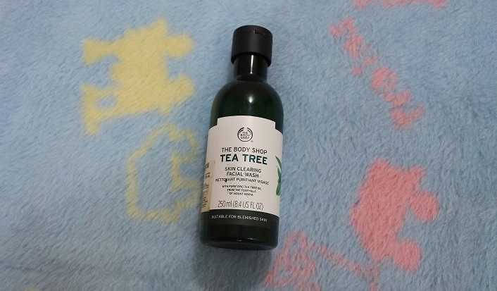 Tea tree1